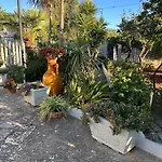 Trullo Elisabetta * Ceglie Messapica