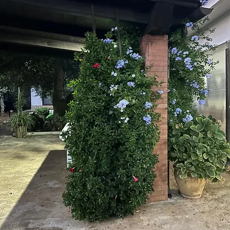 Trullo Elisabetta チェーリエ・メッサーピカ