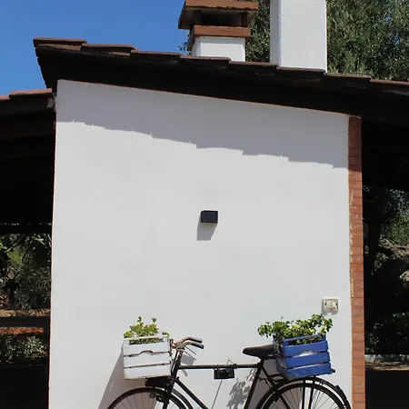 Trullo Elisabetta Ceglie Messapica