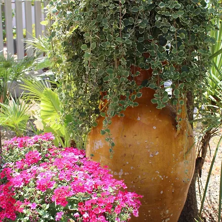 別荘 Trullo Elisabetta